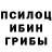 Галлюциногенные грибы ЛСД canale musicale
