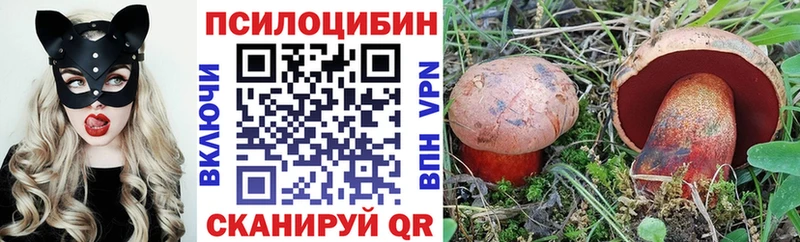 Галлюциногенные грибы мицелий  Терек 